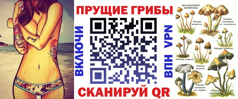 blacksprut вход  закладка  это формула  Галлюциногенные грибы Psilocybine cubensis  Сенгилей 